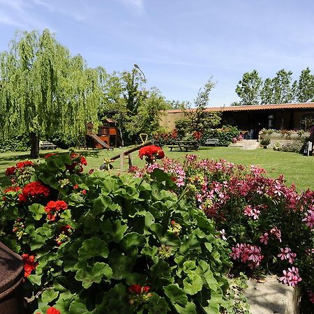 Agriturismo Barbagia ألغيرو المظهر الخارجي الصورة