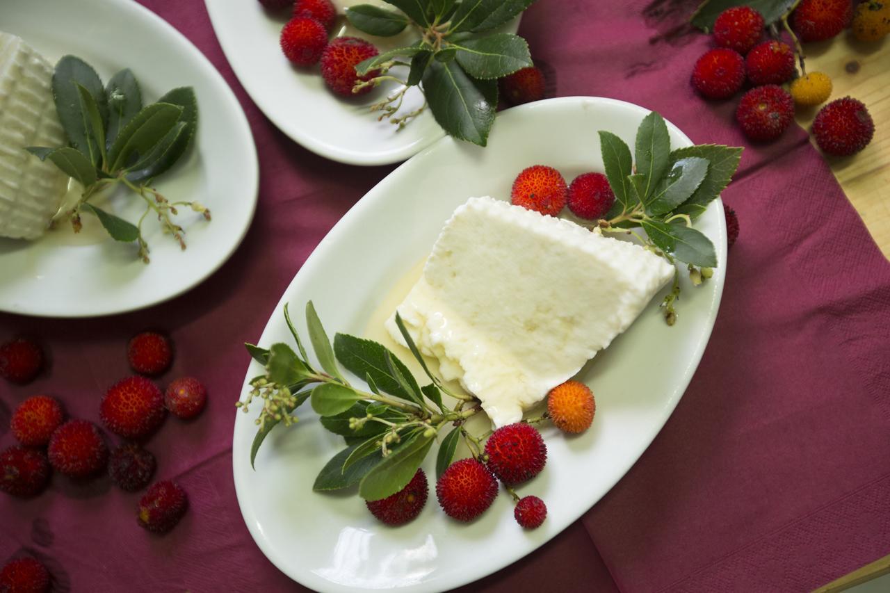 Agriturismo Barbagia ألغيرو المظهر الخارجي الصورة