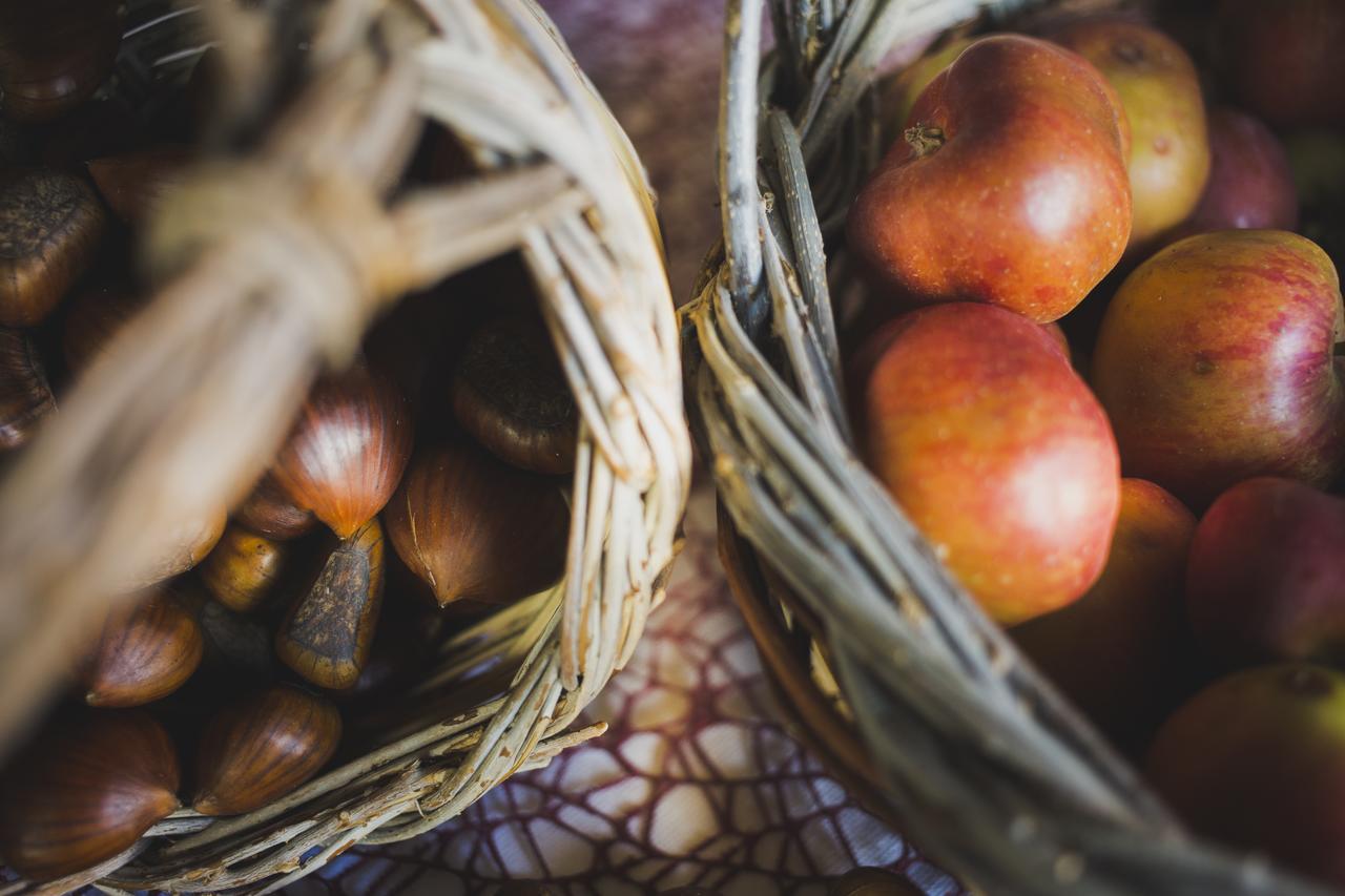 Agriturismo Barbagia ألغيرو المظهر الخارجي الصورة